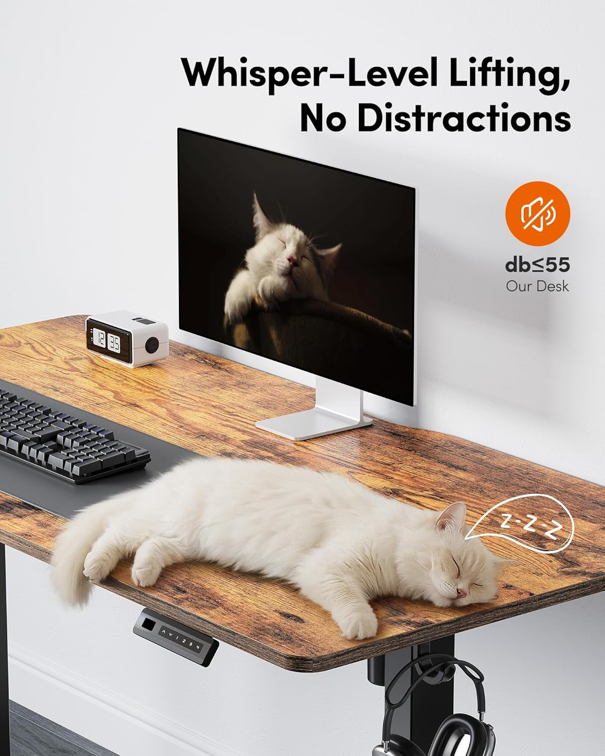 Electric Standing Desk, 48 X 24 Inches Height Adjustable Stand up Desk, Sit Stand Home Office Desk, Computer Desk, Rustic Brown